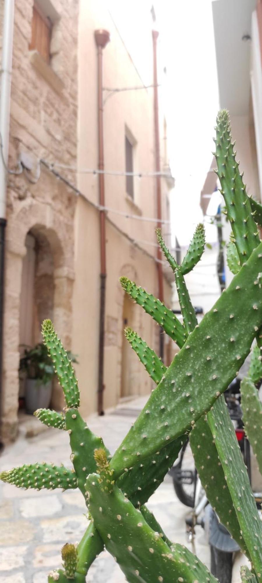 La Follia Dell'Architetto Villa Bari Ngoại thất bức ảnh